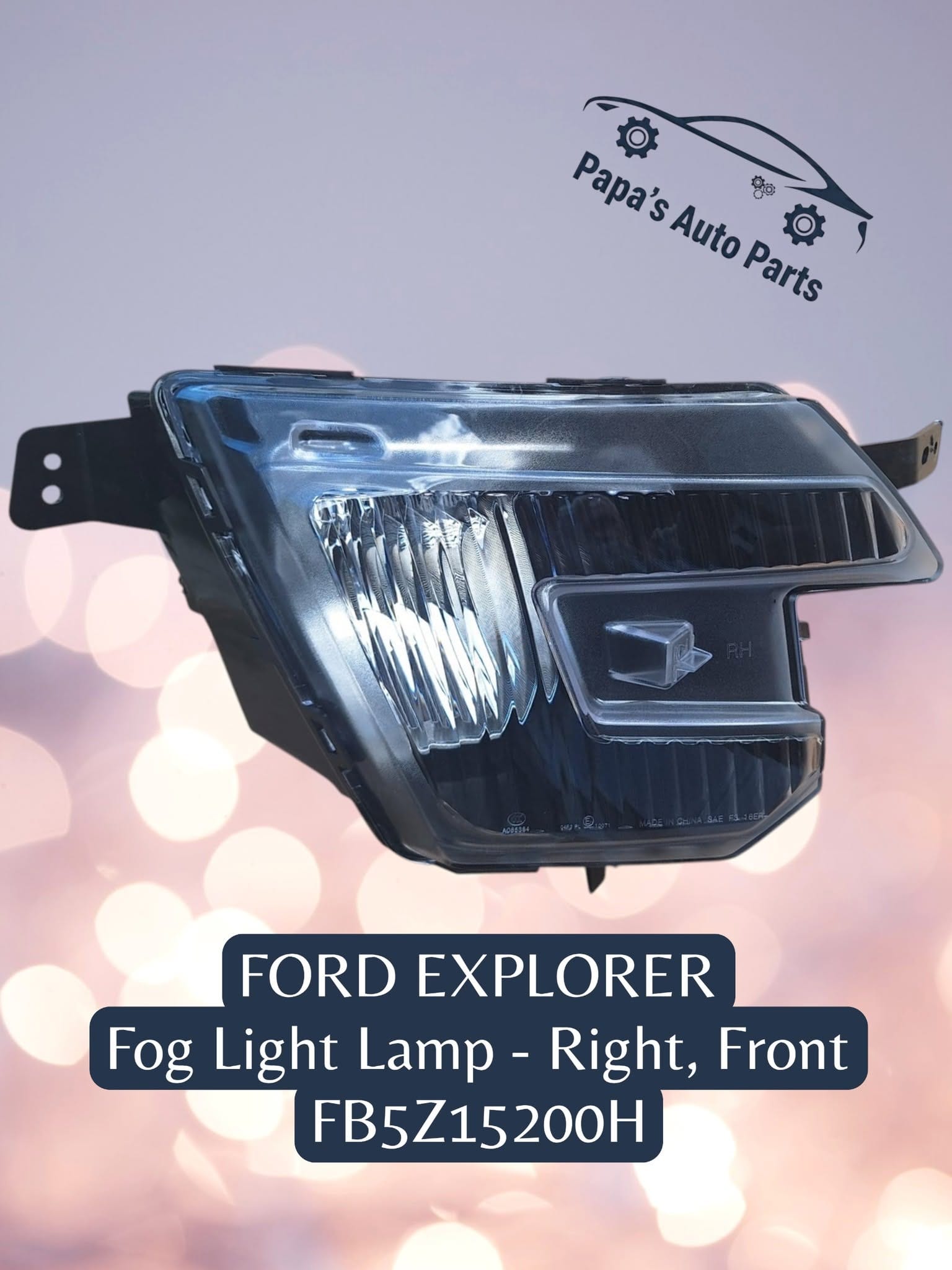 Fog Light Lamp - Right, Front